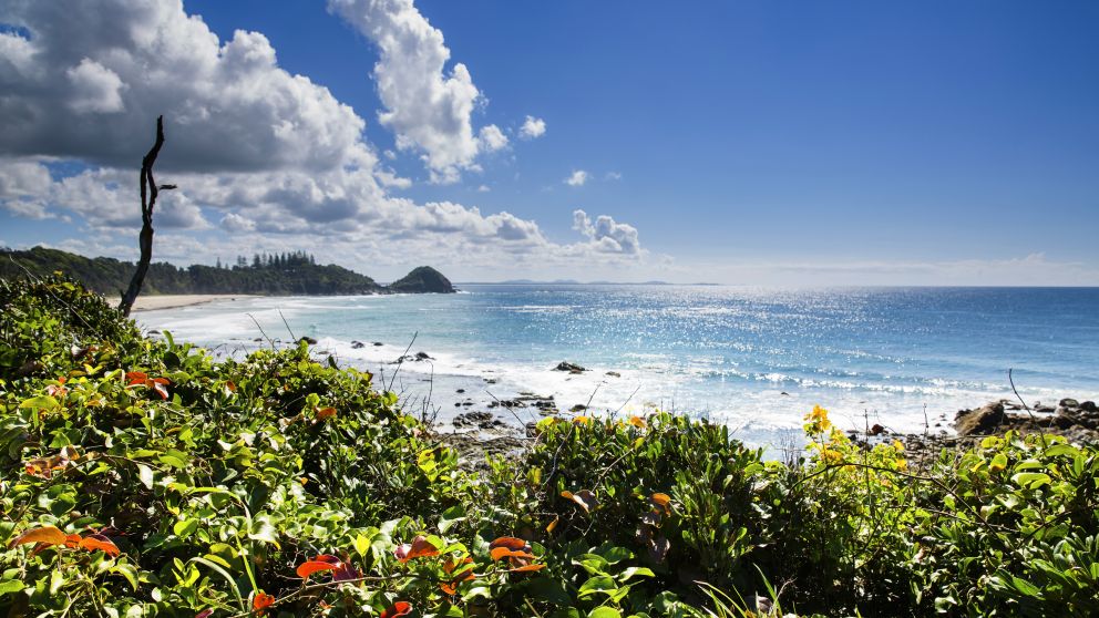 Port Macquarie NSW Plan a Holiday ¬ Beaches, & Attractions